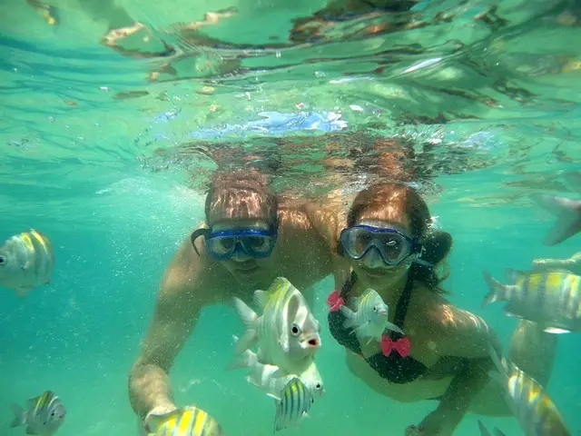 Snorkeling em Maya Bay com peixes tropicais coloridos e corais regenerados em águas cristalinas