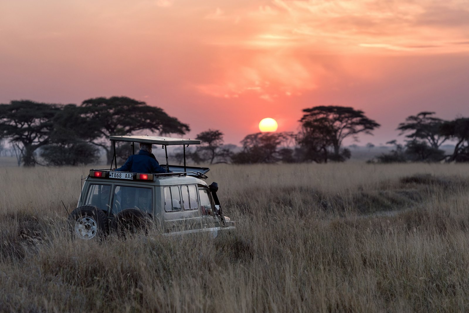Casal observando elefantes em safari africano com jeep e savana dourada ao fundo