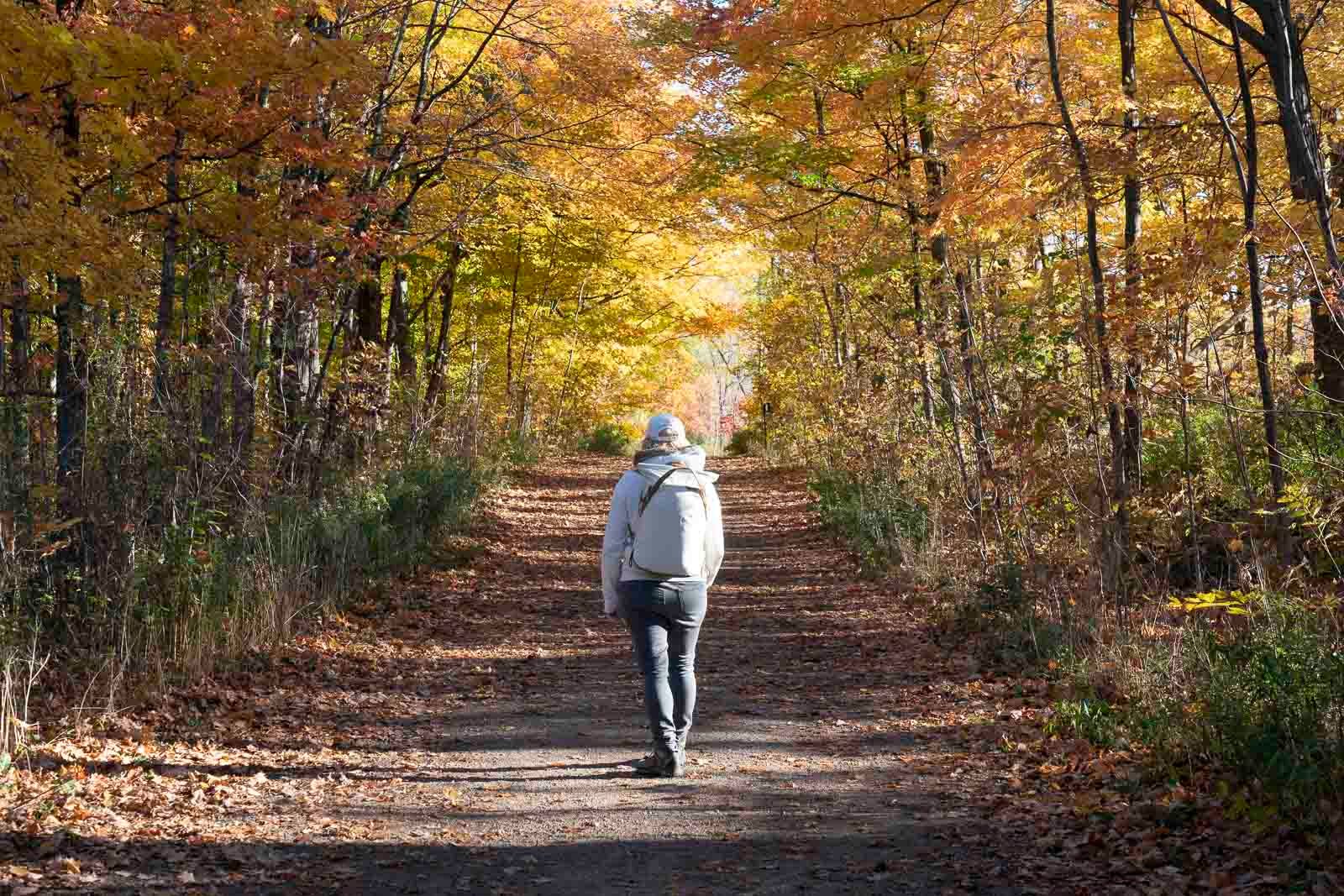 Melhores destinos nos Estados Unidos para visitar em outubro de 2025 - Imagem do artigo original