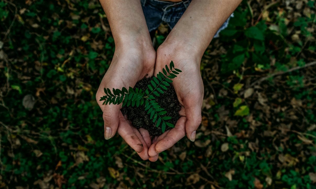Vivalá apresenta plataforma nacional de afiliados focada em turismo sustentável - Imagem do artigo original