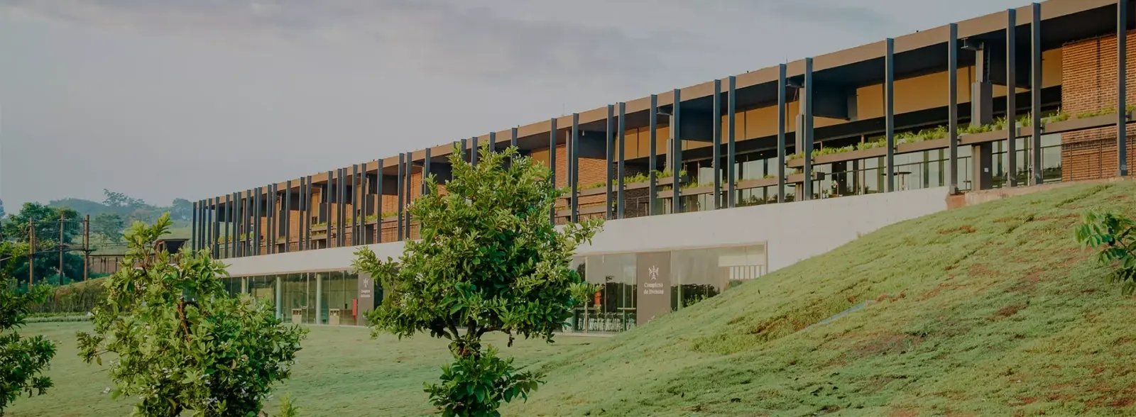 Clara Resorts amplia atuação corporativa com propostas imersivas em arte, natureza e esportes - Imagem do artigo